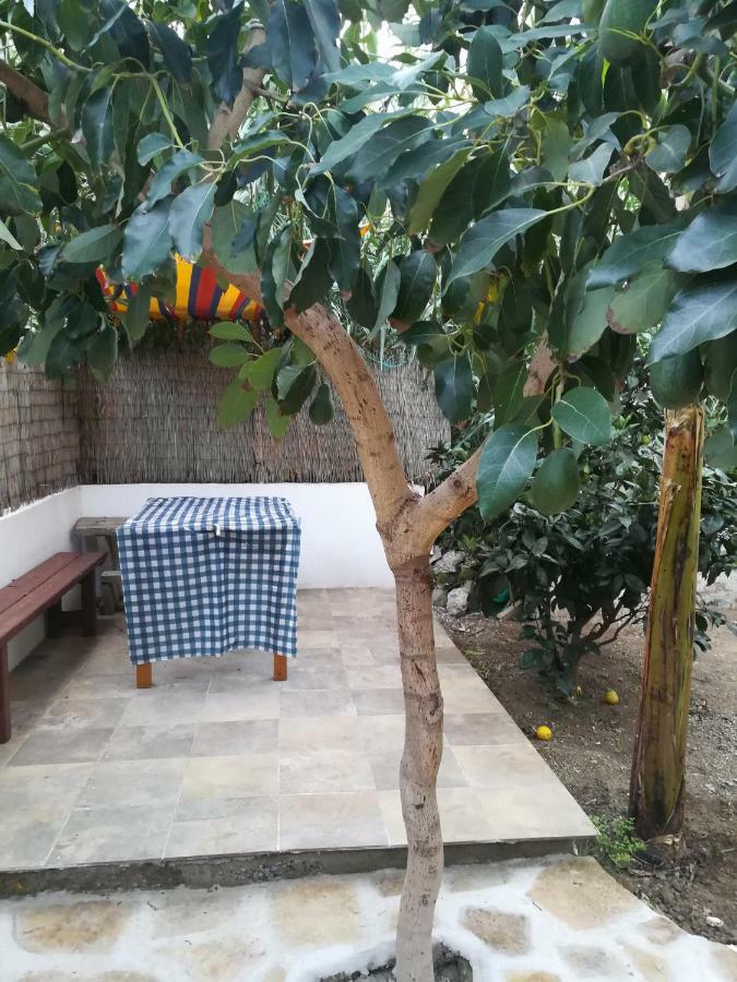 Vila Casa La Terraza Vallehermoso Exteriér fotografie